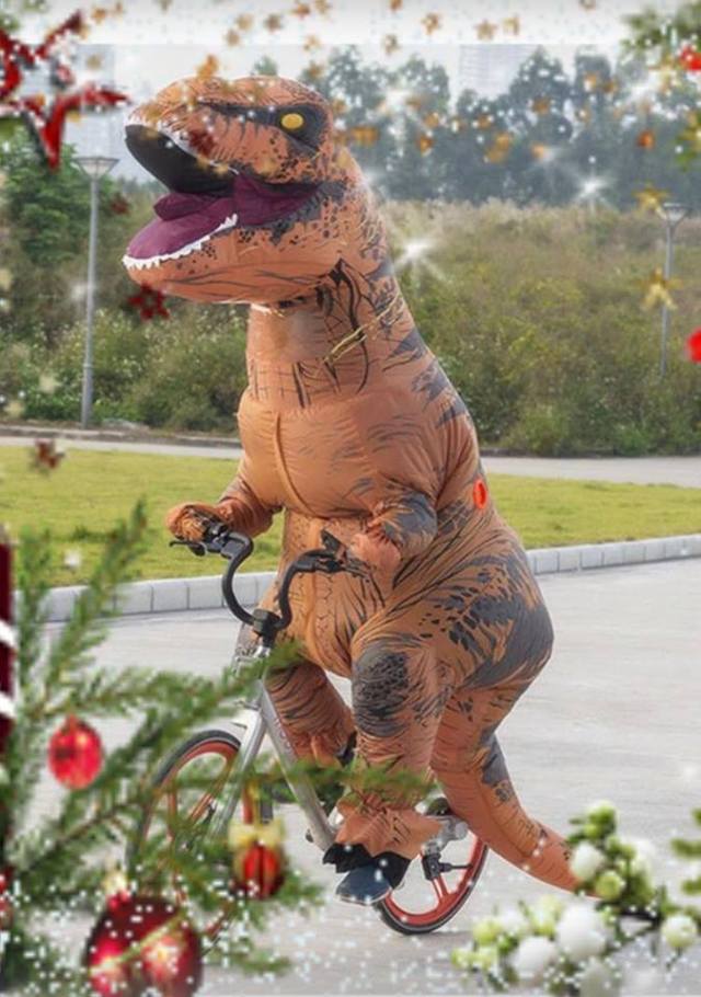 49759232_2105771539735709_4111425875809927168_n (1).jpg